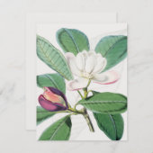 Waterverf Botanische witte Magnolia & groene blade Feestdagenkaart (Voorkant / Achterkant)
