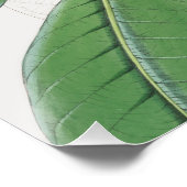 Waterverf Botanische witte Magnolia & groene blade Perfect Poster (Hoek)