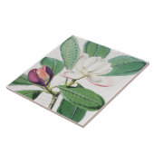 Waterverf Botanische witte Magnolia & groene blade Tegeltje (Zijkant)