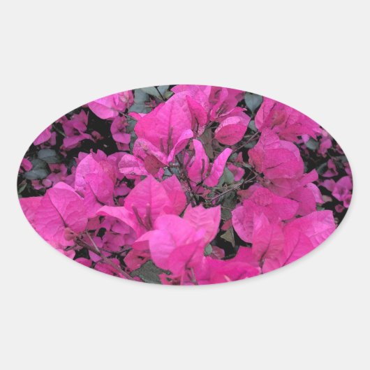 Waterverf-Bougainvillea Ovale Sticker (Voorkant)