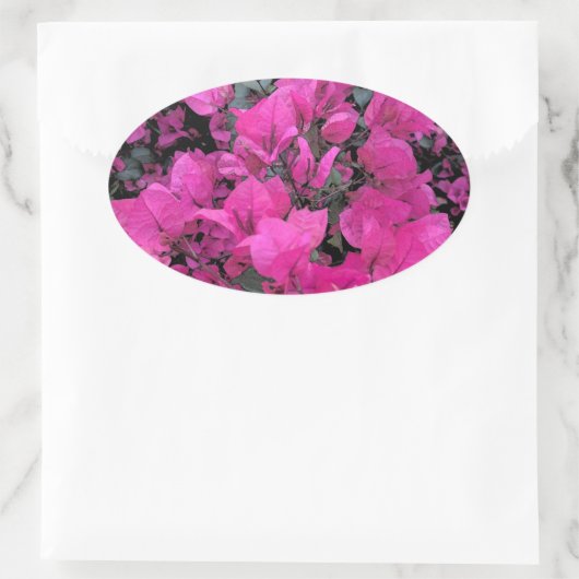 Waterverf-Bougainvillea Ovale Sticker (Tas)