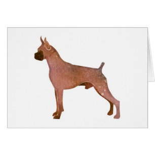 Waterverf Boxer