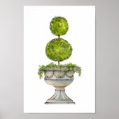 Waterverf Boxwood bovenleiding in antiek urn Poster (Voorkant)