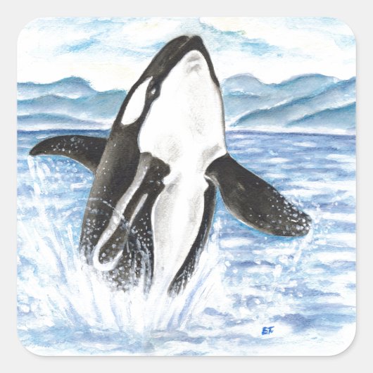 Waterverf Breikende Orca Whale Vierkante Sticker (Voorkant)