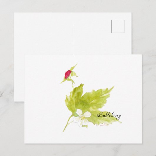 waterverf briefkaart thimblebes (Voorkant / Achterkant)