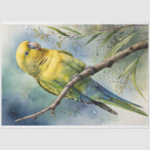 Waterverf Budgie Parakeet Decoupage Tissuepapier