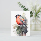 Waterverf Bullfinch op een Pine Branch in de Fores Briefkaart (Staand voorkant)