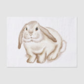 Waterverf Bunny Tissue Paper Tissuepapier (Voorkant)