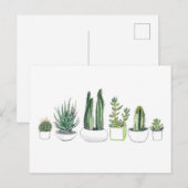 Waterverf Cacti & Succulents Briefkaart (Voorkant / Achterkant)
