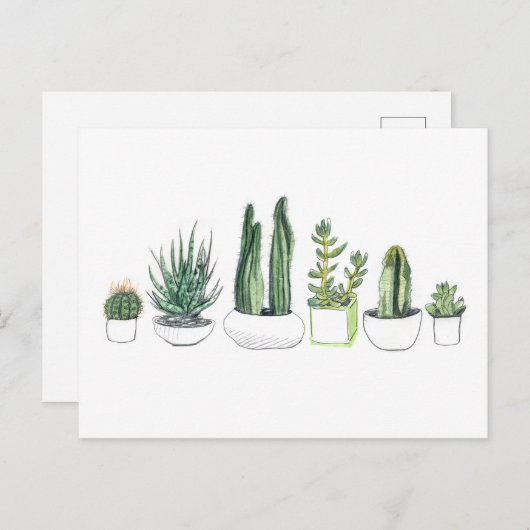 Waterverf Cacti & Succulents Briefkaart (Voorkant / Achterkant)