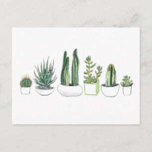 Waterverf Cacti & Succulents Briefkaart