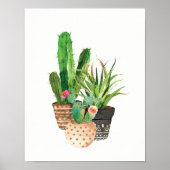 Waterverf Cactus en Succulent Group Poster (Voorkant)