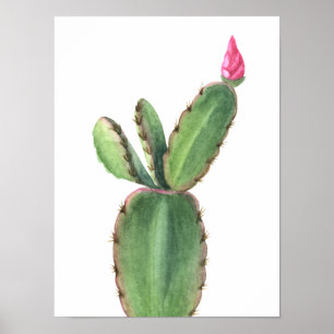 Waterverf Cactus roze Poster