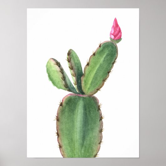 Waterverf Cactus roze Poster (Voorkant)