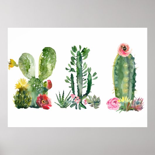 Waterverf Cactus schilderen Poster (Voorkant)