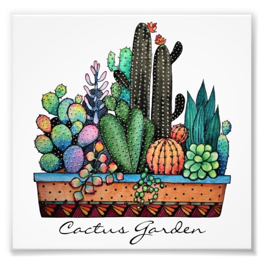 Waterverf cactus tuin in potten foto afdruk (Voorkant)