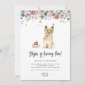  Waterverf Cairn Terrier Dog Verjaardag Kaart (Voorkant)