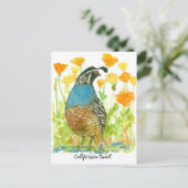 Waterverf California Poppies Quail Bird Briefkaart (Staand voorkant)