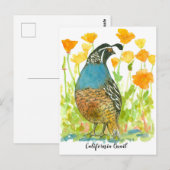 Waterverf California Poppies Quail Bird Briefkaart (Voorkant / Achterkant)