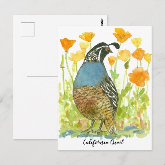 Waterverf California Poppies Quail Bird Briefkaart (Voorkant / Achterkant)