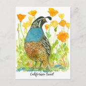 Waterverf California Poppies Quail Bird Briefkaart (Voorkant)