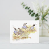 Waterverf California Quail Bird Natuur Art Briefkaart (Staand voorkant)