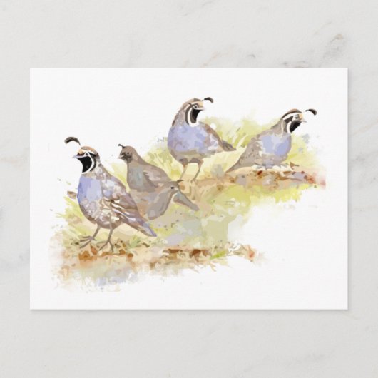 Waterverf California Quail Bird Natuur Art Briefkaart (Voorkant)