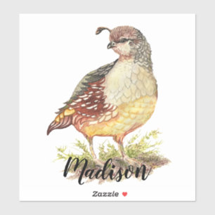 Waterverf California Quail Bird Natuur Art Sticker