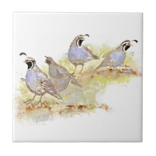 Waterverf California Quail Bird Natuur Art Tegeltje