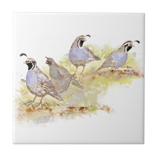 Waterverf California Quail Bird Natuur Art Tegeltje (Voorkant)