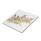 Waterverf California Quail Bird Natuur Art Tegeltje (Zijkant)