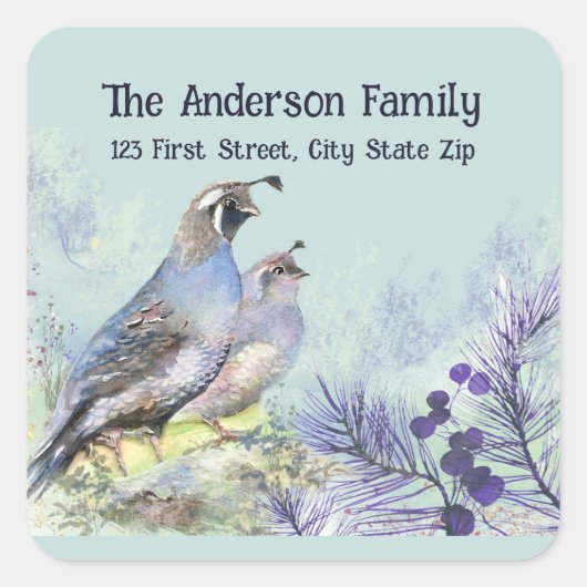 Waterverf California Quail Wildlife Bird Natuur Vierkante Sticker (Voorkant)