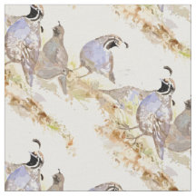 Waterverf Californië Quail Bird Natuur kunst