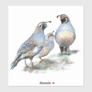 Waterverf Californië Quail Bird Natuur Wildlife Sticker