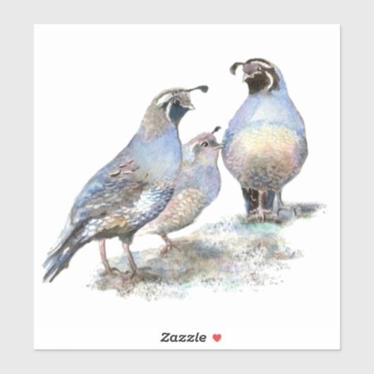 Waterverf Californië Quail Bird Natuur Wildlife Sticker (Vel)