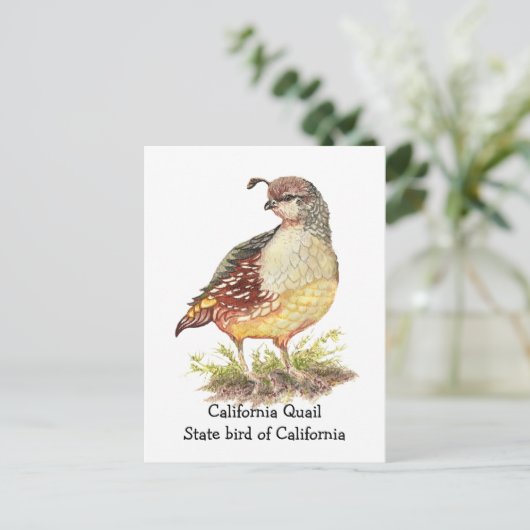 Waterverf Californische Quail State-vogel Briefkaart (Staand voorkant)