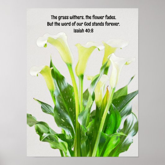 Waterverf Calla Lily Flowers Bijbelverzen kunst Poster (Voorkant)