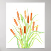 Waterverf Cattail (Typha), spruw, zaadkoppen Poster (Voorkant)