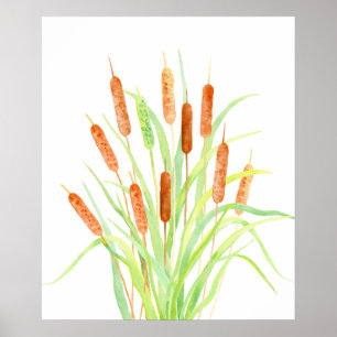 Waterverf Cattail (Typha), spruw, zaadkoppen Poster