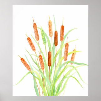 Waterverf Cattail (Typha), spruw, zaadkoppen Poster