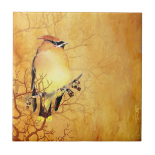 Waterverf Cedar Waxwing Bird Wildlife Art Tegeltje