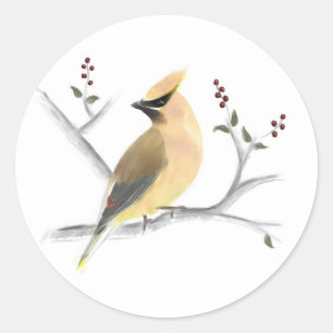 Waterverf Cedar Waxwing Stickers