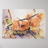 Waterverf Chesnuts egel Poster (Voorkant)