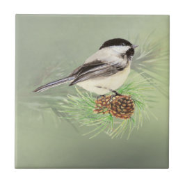 Waterverf Chickadee Bird in Pine Tree Natuur art. Tegeltje