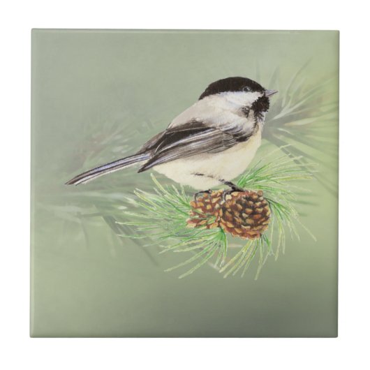 Waterverf Chickadee Bird in Pine Tree Natuur art. Tegeltje (Voorkant)
