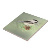 Waterverf Chickadee Bird in Pine Tree Natuur art. Tegeltje (Zijkant)
