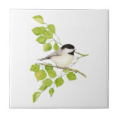 Waterverf Chickadee Poplar Tree Art Tegeltje (Voorkant)