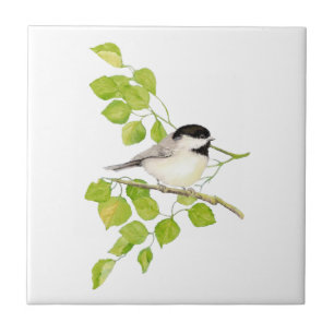 Waterverf Chickadee Poplar Tree Art Tegeltje