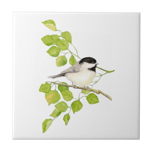 Waterverf Chickadee Poplar Tree Art Tegeltje (Voorkant)