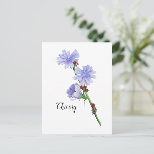 Waterverf Chicory Flowers Briefkaart (Staand voorkant)